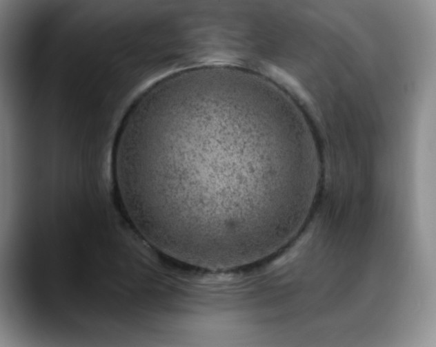 X0000090441174200707131214