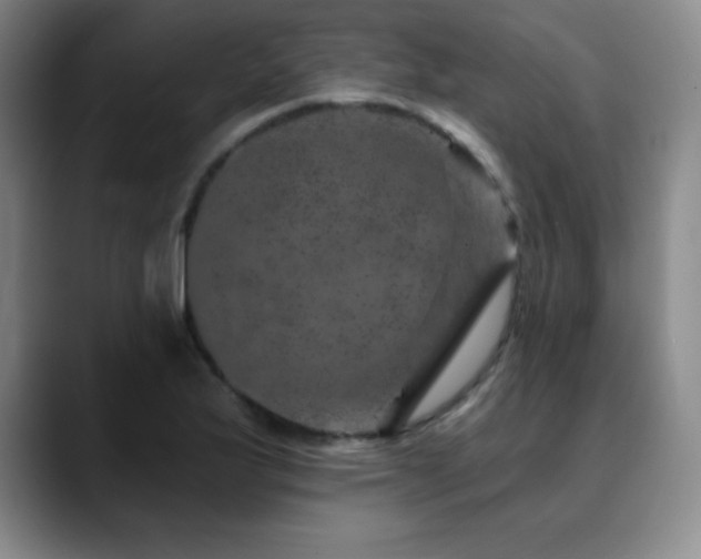 X0000090441175200707131214