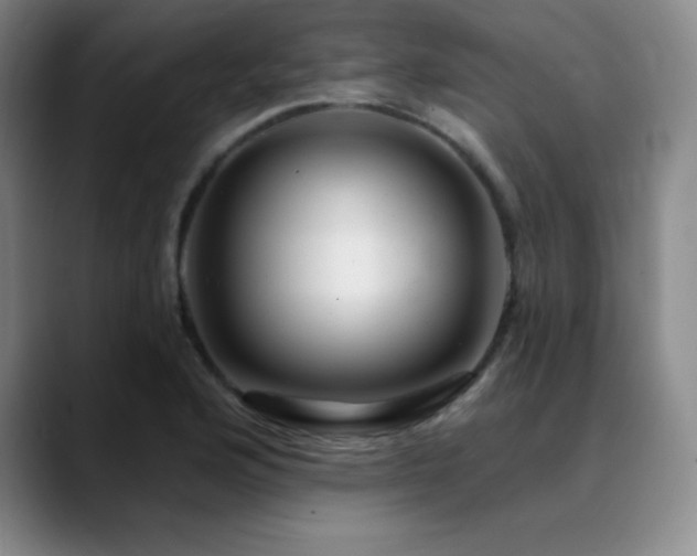 X0000090441176200707131214