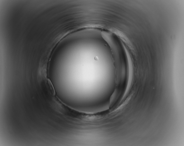 X0000090441177200707131214