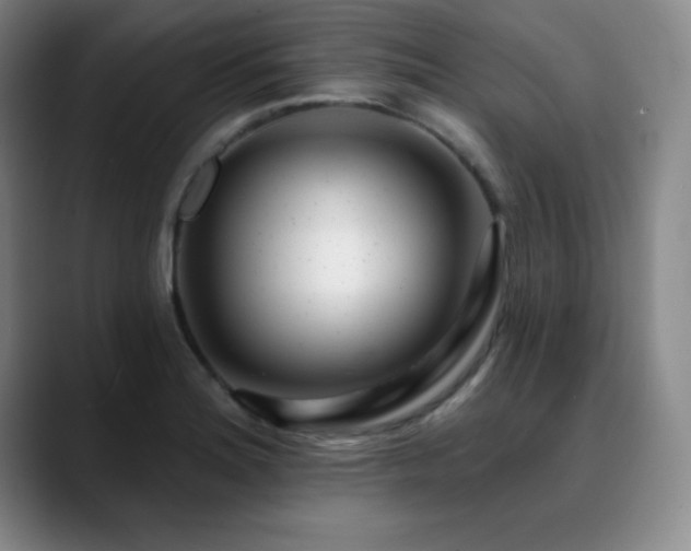 X0000090441180200707131214