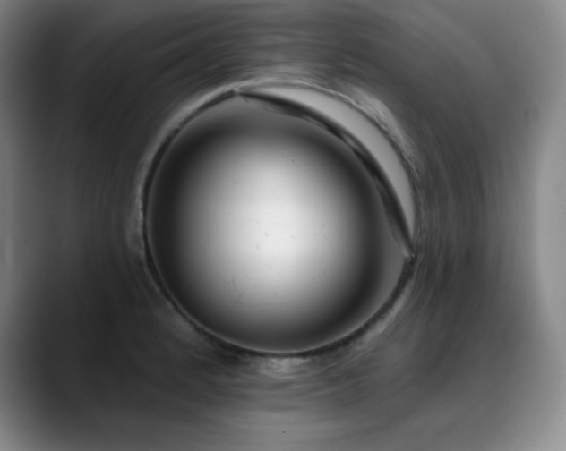 X0000090441184200707131214