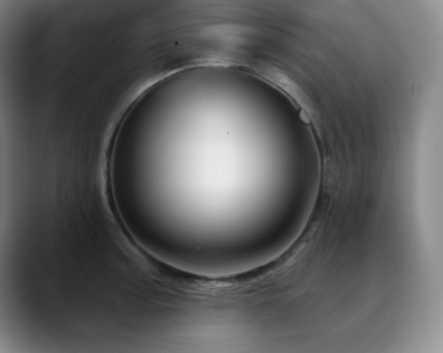 X0000090441187200707131214