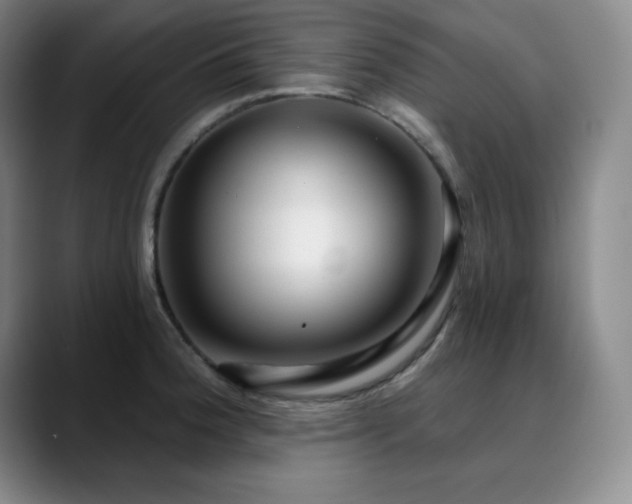 X0000090441188200707131214