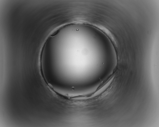X0000090441191200707131214