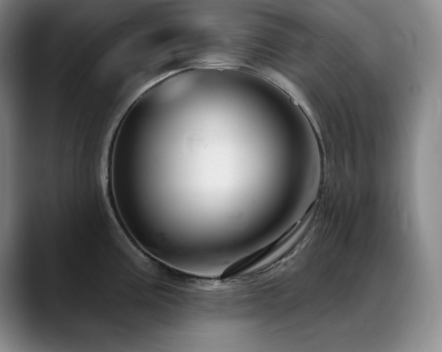 X0000090441195200707131214