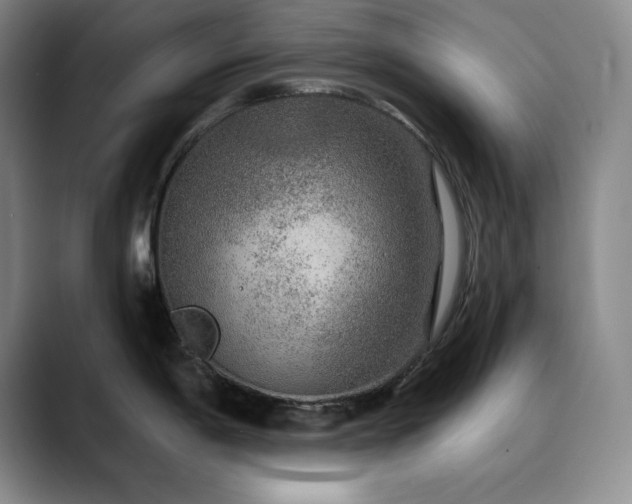 X0000090441198200707131214
