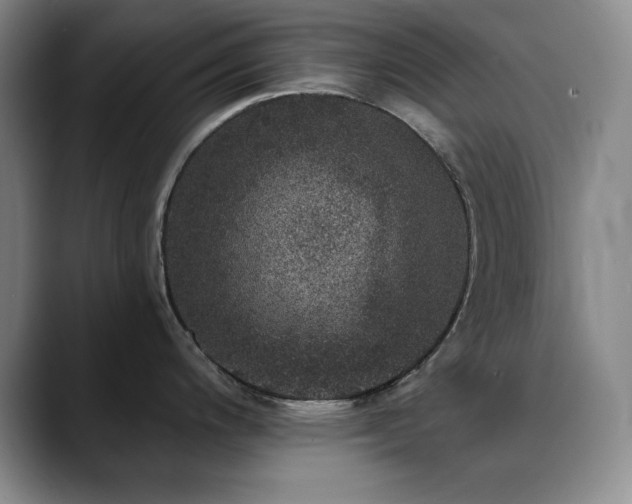 X0000090441200200707131214