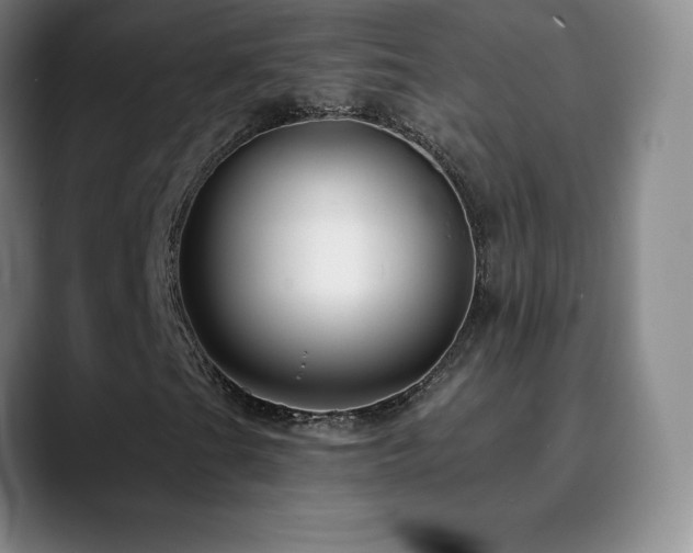 X0000090441201200707131213