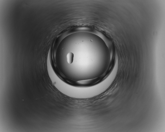 X0000090441202200707131213