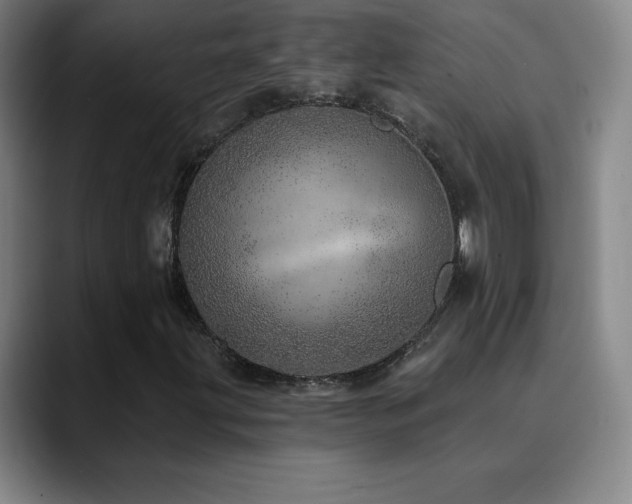 X0000090441203200707131213