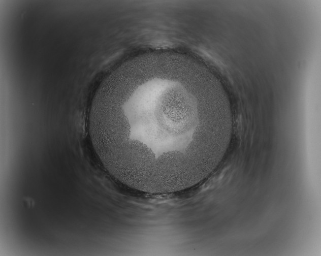 X0000090441205200707131213
