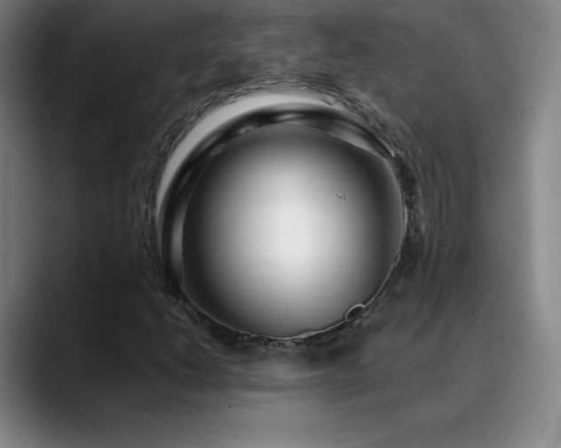 X0000090441206200707131213