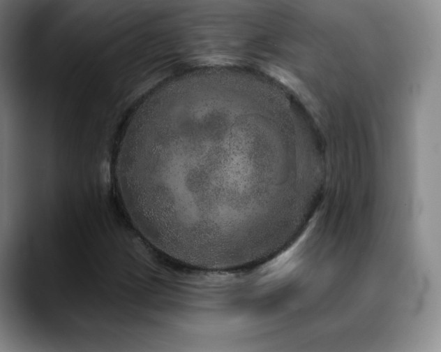 X0000090441209200707131213