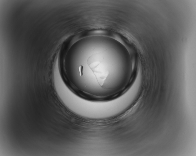 X0000090441210200707131213