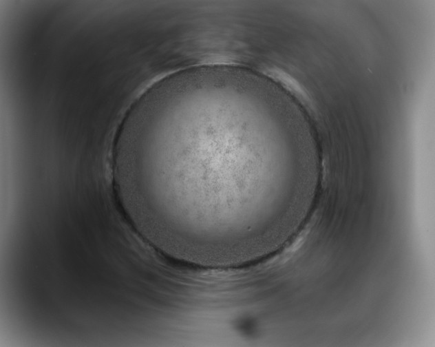 X0000090441212200707131213