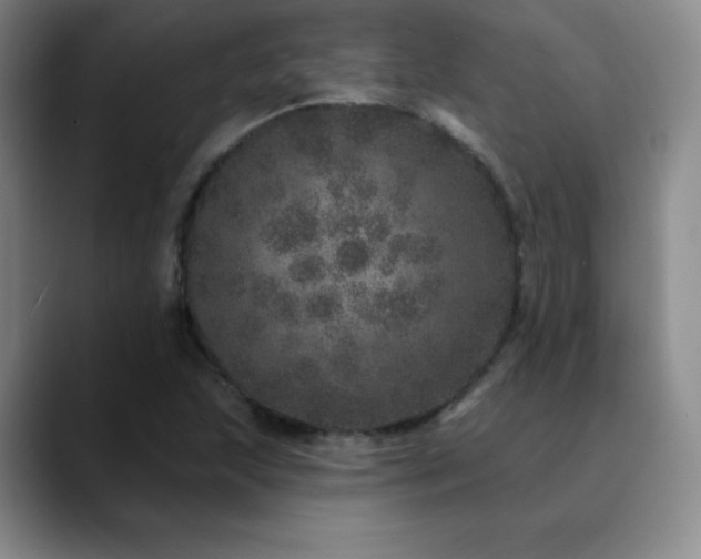 X0000090441215200707131213
