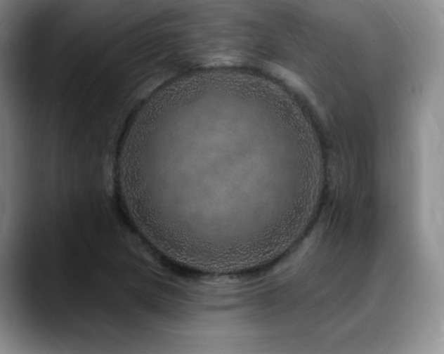 X0000090441217200707131213