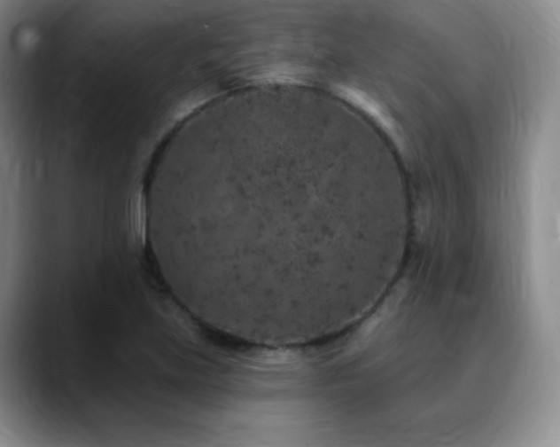 X0000090441219200707131213