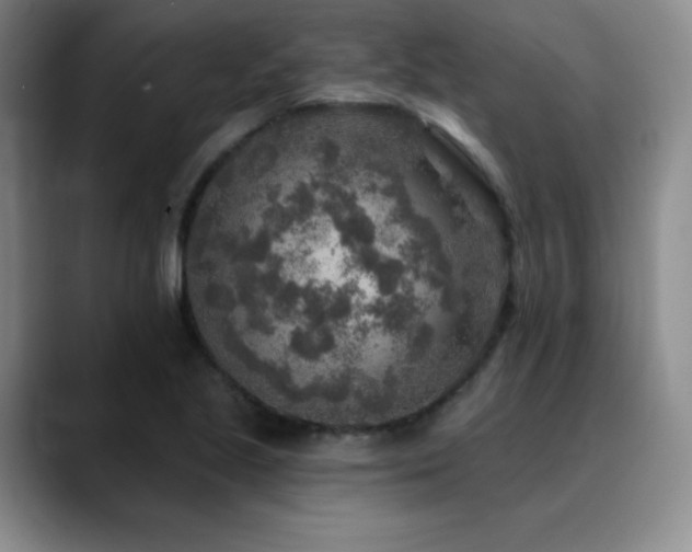 X0000090441221200707131213