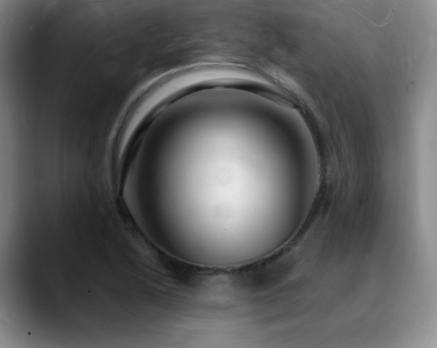 X0000090441222200707131213