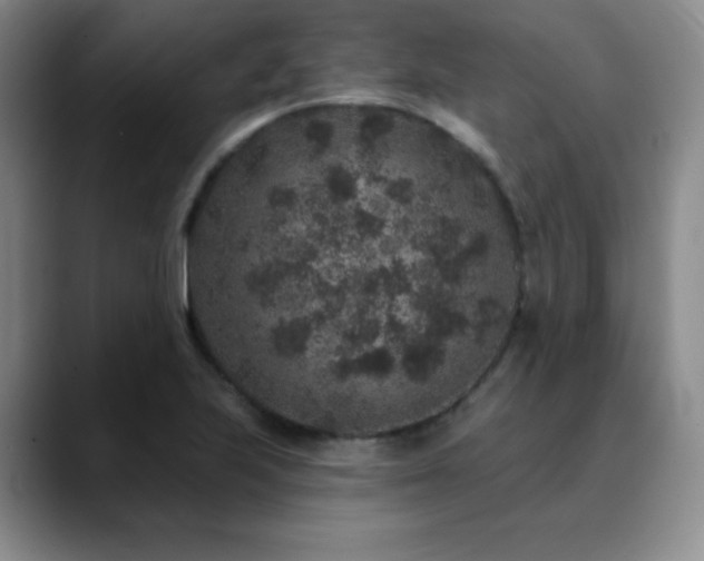X0000090441223200707131213