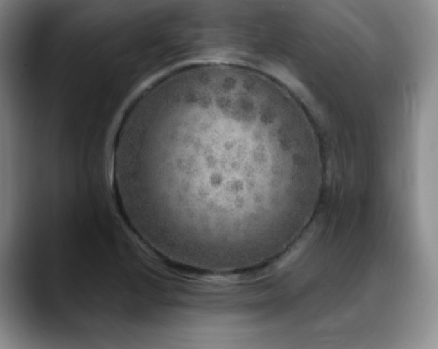 X0000090441224200707131213