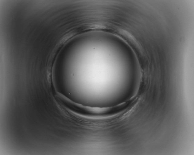 X0000090441225200707131213