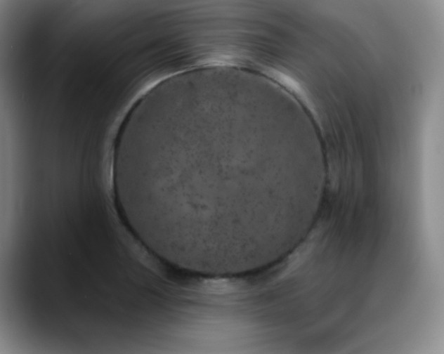 X0000090441227200707131213