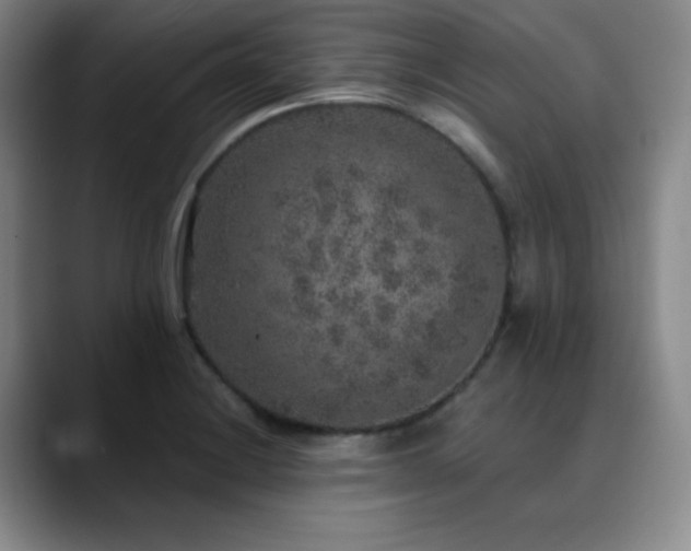 X0000090441228200707131214