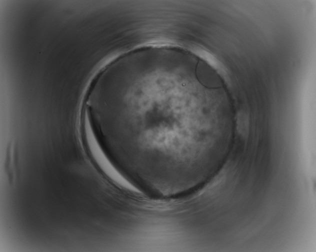 X0000090441229200707131214