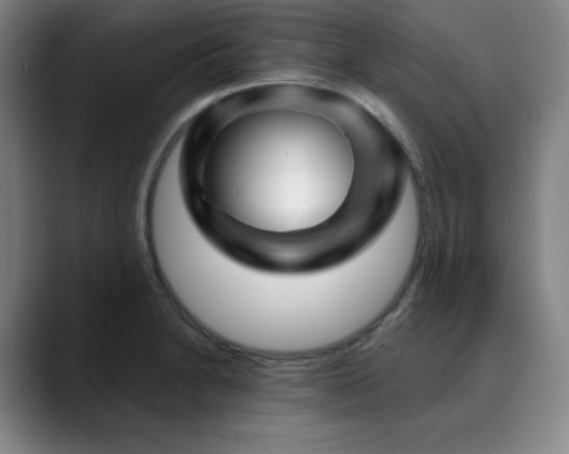 X0000090441230200707131214