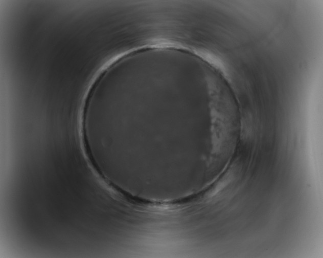 X0000090441231200707131214