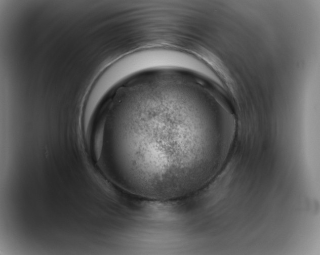X0000090441234200707131214