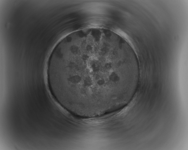 X0000090441235200707131214