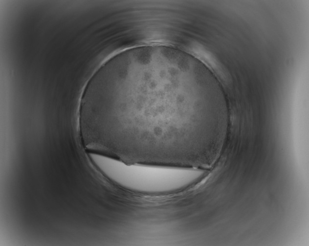 X0000090441236200707131214