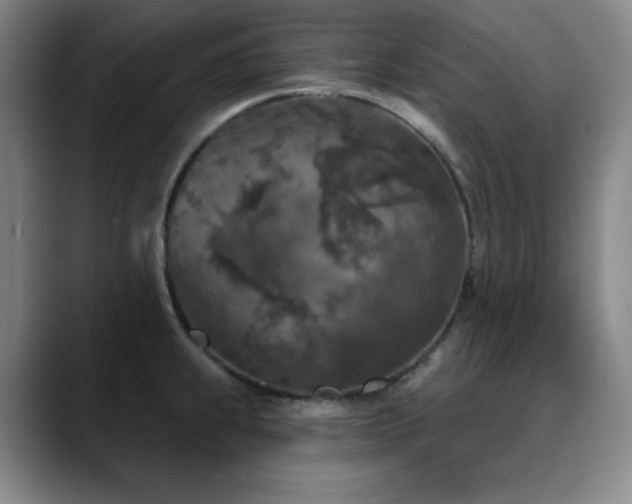 X0000090441239200707131214