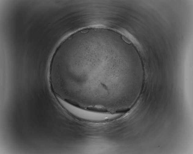 X0000090441240200707131214
