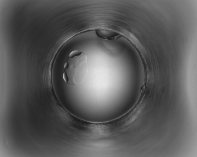 X0000090441242200707131214