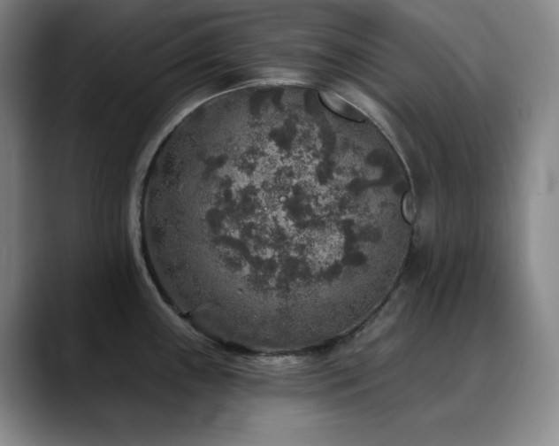 X0000090441243200707131214
