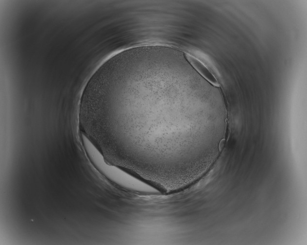 X0000090441244200707131214