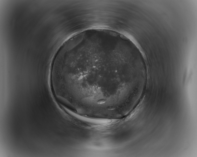 X0000090441245200707131214