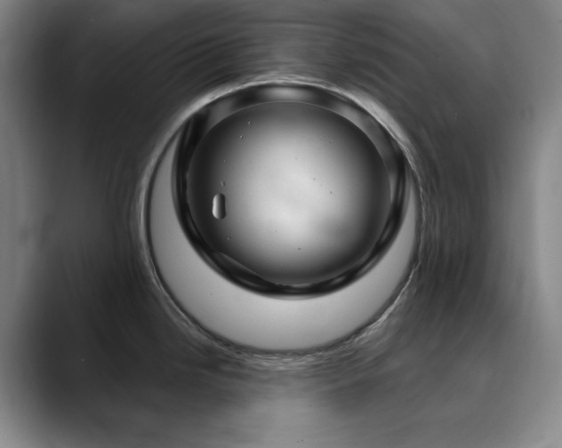 X0000090441246200707131214