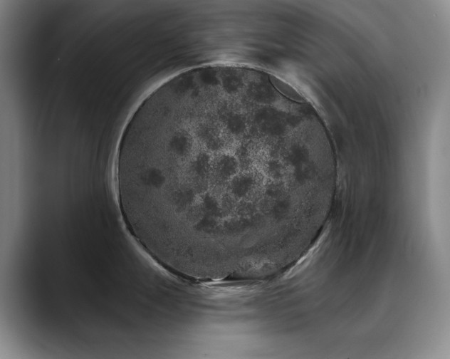 X0000090441247200707131214