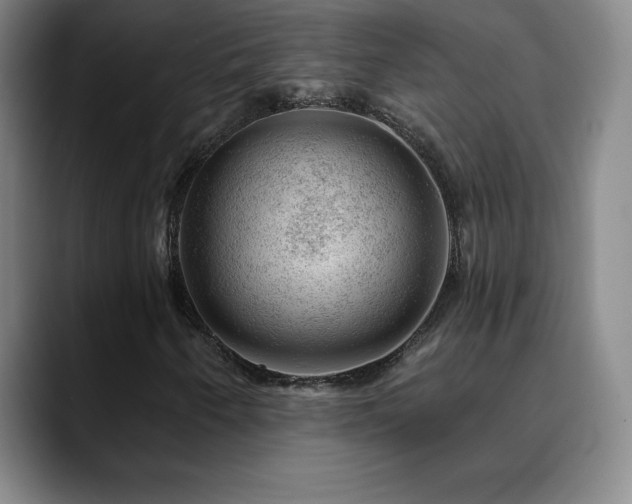 X0000090441250200707131213