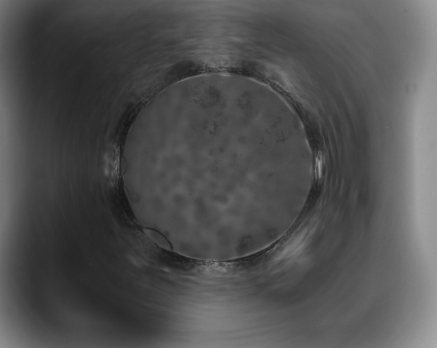 X0000090441251200707131213