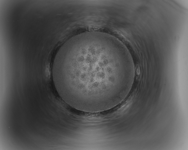 X0000090441252200707131213