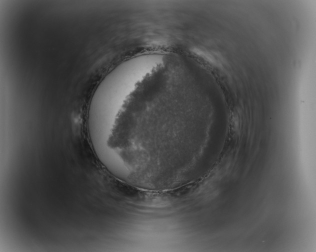 X0000090441254200707131213