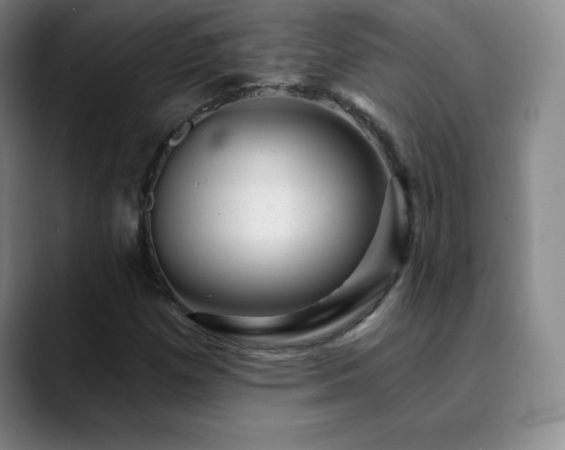X0000090441257200707131213