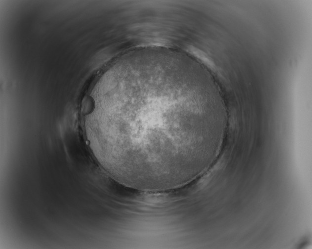 X0000090441258200707131213